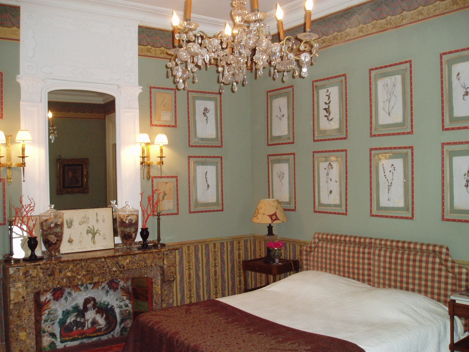 Suite de l’Herboriste